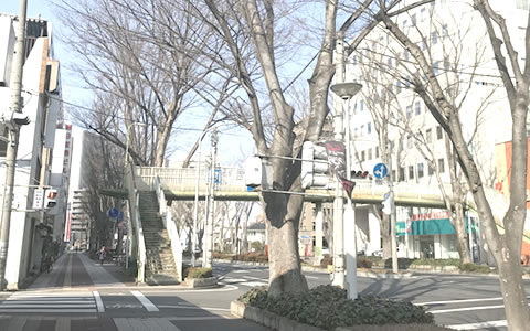 歩道橋のある信号・北向き